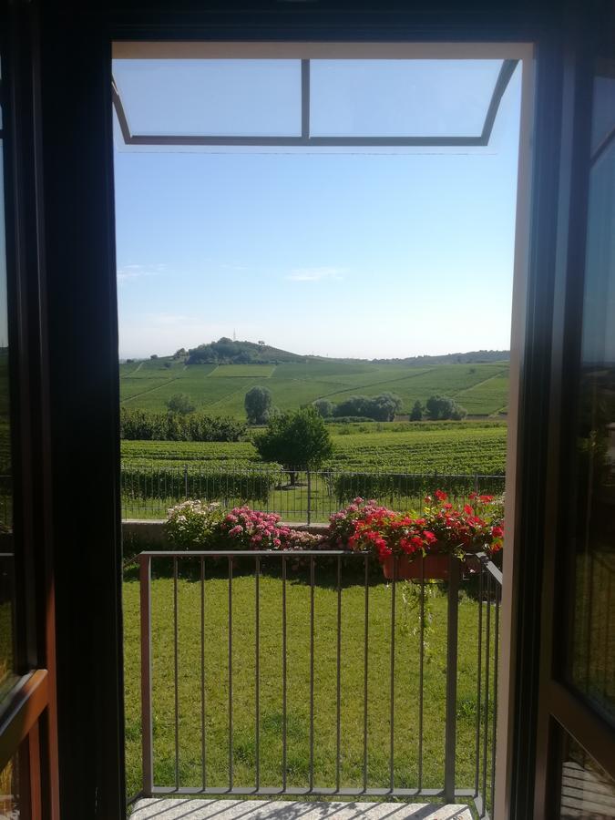 Villa Vecchio Castagnito Экстерьер фото